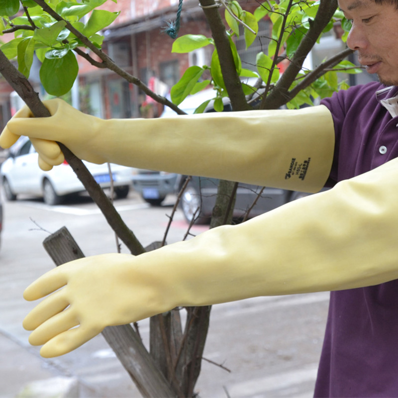 Dài Cao Su Dày Cao Su Vệ Sinh  - đánh giá và giá Dish Glove Rubber