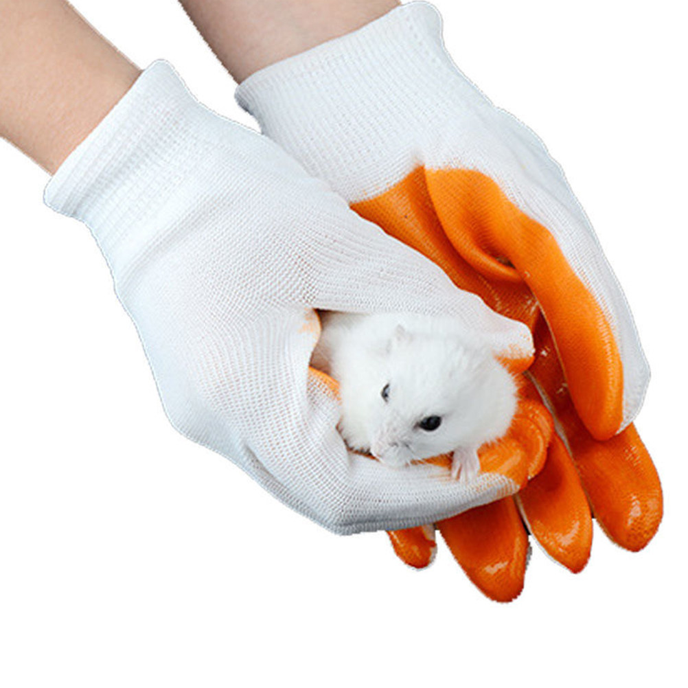 1Pair Animal Protection Gloves - đánh giá và giá Cut Resistant Glove
