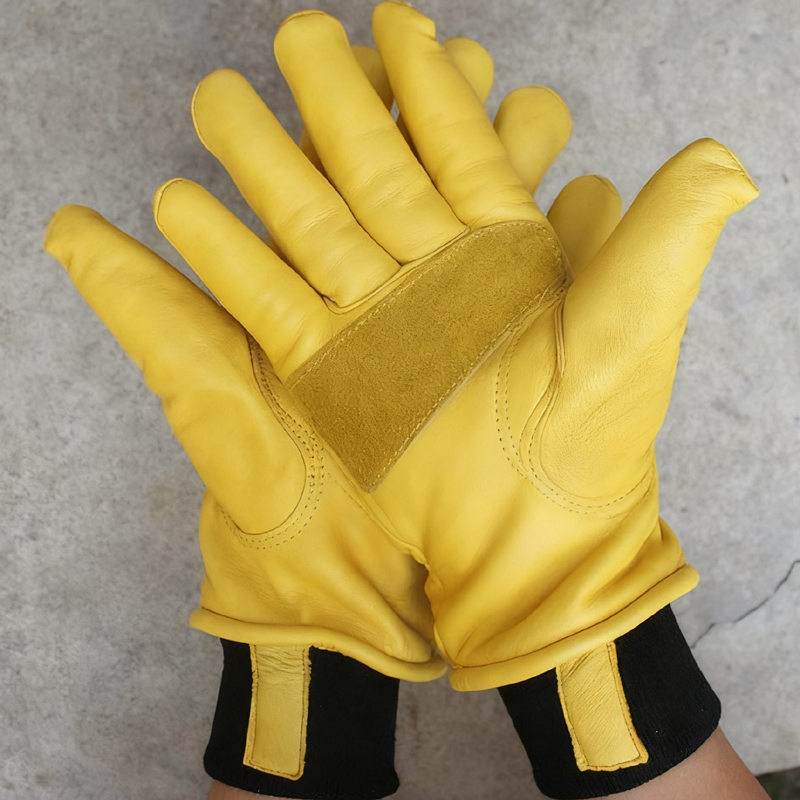 Mens Motorcycle Winter Gloves  - đánh giá và giá Winter Glove Insulated